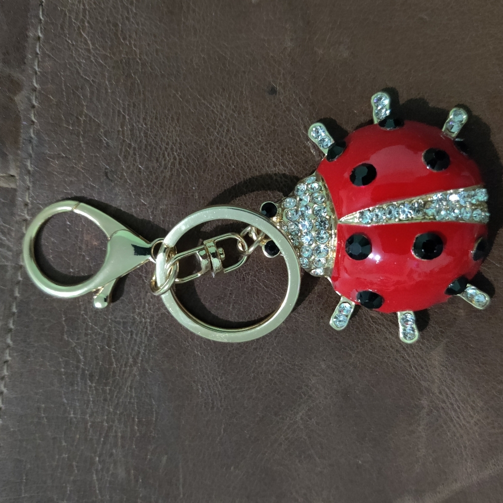 Lady bug keyring